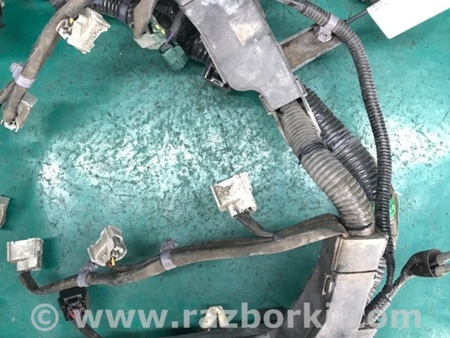 ФОТО Проводка моторного отсека для Acura RDX TB3, TB4 (03.2012-12.2015) Киев