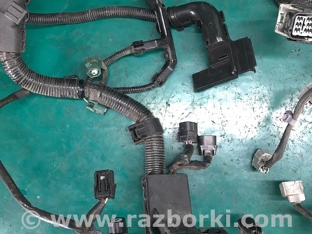ФОТО Проводка моторного отсека для Acura RDX TB3, TB4 (03.2012-12.2015) Киев