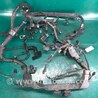 Проводка моторного отсека Acura RDX TB3, TB4 (03.2012-12.2015)
