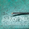 ФОТО Датчик ABS для Hyundai Elantra MD (04.2010-05.2016) Киев