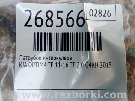 ФОТО Патрубок интеркулера для KIA Optima TF Киев