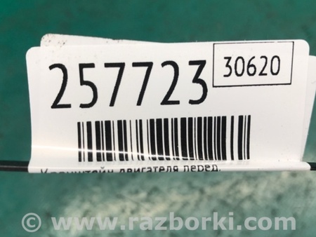 ФОТО Кронштейн крепления двигателя для Acura RDX TB3, TB4 (03.2012-12.2015) Киев