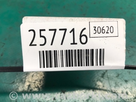 ФОТО Натяжитель ремня приводного для Acura RDX TB3, TB4 (03.2012-12.2015) Киев