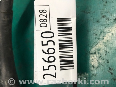 ФОТО Патрубок системы охлаждения для Audi (Ауди) A3 8V1, 8VA, 8V7, 8VS (03.2012-...) Киев
