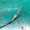 ФОТО Датчик ABS для Toyota Sienna (11-16) Киев