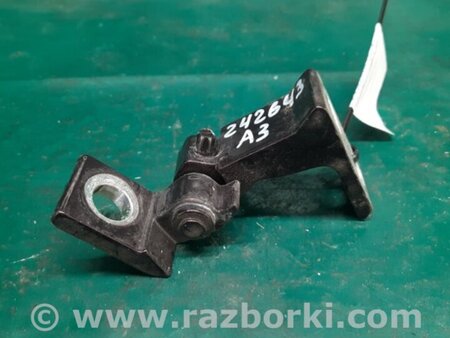 ФОТО Петля двери нижняя для Audi (Ауди) A3 8V1, 8VA, 8V7, 8VS (03.2012-...) Киев