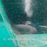 ФОТО Стекло двери для Audi (Ауди) A3 8V1, 8VA, 8V7, 8VS (03.2012-...) Киев