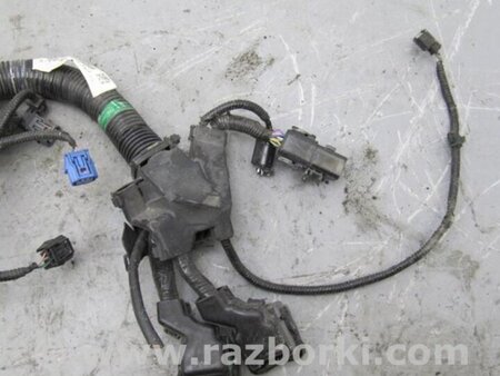 ФОТО Проводка моторного отсека для Acura TLX (09.2014-04.2020) Киев