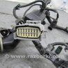 ФОТО Проводка моторного отсека для Acura TLX (09.2014-04.2020) Киев