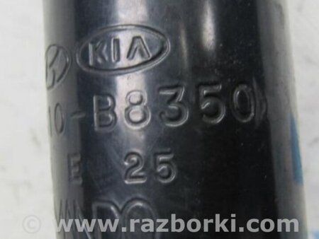 ФОТО Амортизатор для Hyundai Santa Fe DM (12-18) Киев