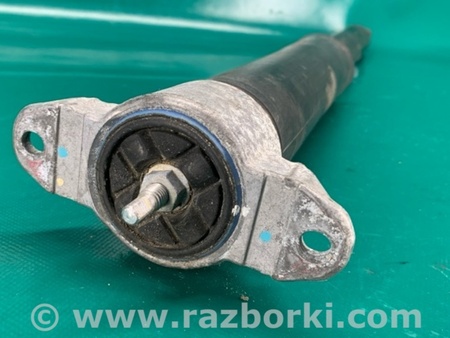 ФОТО Амортизатор для Ford Focus 3 (01.2010 - 03.2018) Киев