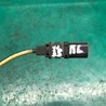 ФОТО Датчик ABS для Acura TLX (09.2014-04.2020) Киев