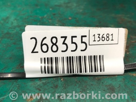 ФОТО Амортизатор для Toyota Camry 50 XV55 (04.2014-07.2018)  Киев