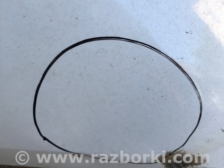 ФОТО Крыло переднее для Acura TLX (09.2014-04.2020) Киев