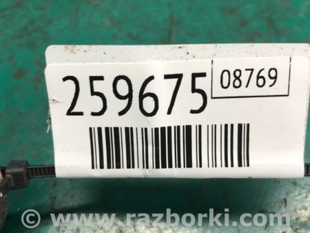 ФОТО Рычаг задний нижний поперечный для Acura TLX (09.2014-04.2020) Киев