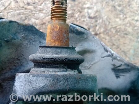 ФОТО Кулак поворотный для Acura TLX (09.2014-04.2020) Киев