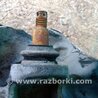 ФОТО Кулак поворотный для Acura TLX (09.2014-04.2020) Киев