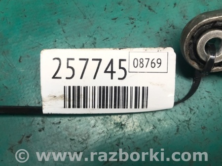ФОТО Натяжитель ремня приводного для Acura TLX (09.2014-04.2020) Киев