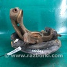 ФОТО Кулак поворотный для Acura TLX (09.2014-04.2020) Киев