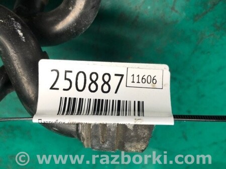 ФОТО Патрубок системы охлаждения для Volkswagen Passat B8 (07.2014-...) Киев
