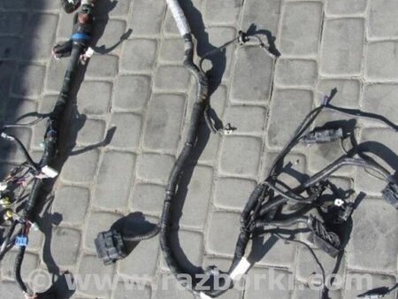 ФОТО Проводка моторного отсека для Acura TLX (09.2014-04.2020) Киев