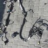 ФОТО Проводка моторного отсека для Acura TLX (09.2014-04.2020) Киев