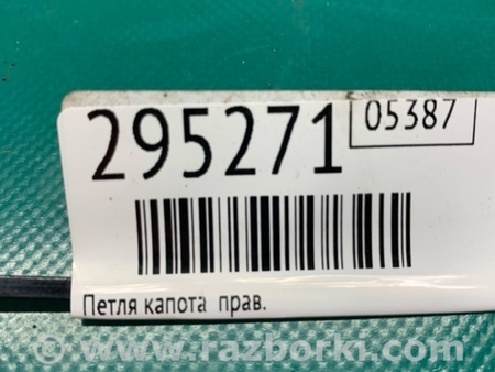 ФОТО Петля капота для Acura RDX TB3, TB4 (03.2012-12.2015) Киев