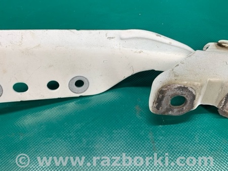 ФОТО Петля капота для Acura RDX TB3, TB4 (03.2012-12.2015) Киев