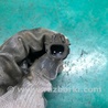 ФОТО Датчик ABS для Acura RDX TB3, TB4 (03.2012-12.2015) Киев