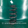 Пружина передняя Acura RDX TB3, TB4 (03.2012-12.2015)