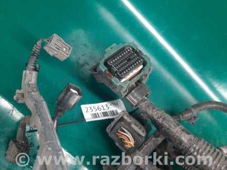ФОТО Проводка моторного отсека для Acura RDX TB3, TB4 (03.2012-12.2015) Киев