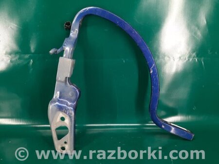 ФОТО Петля крышки багажника для Volkswagen Passat B7 (09.2010-06.2015) Киев