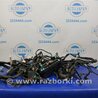 Проводка моторного отсека Acura RDX TB3, TB4 (03.2012-12.2015)