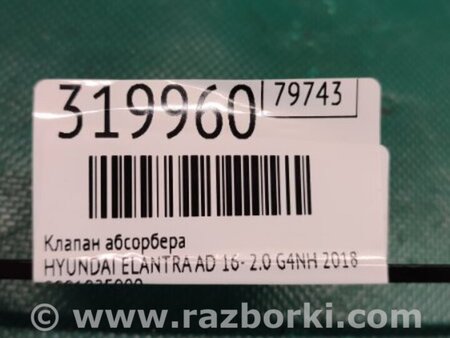 ФОТО Клапан абсорбера для Hyundai Elantra AD (09.2015-...) Киев