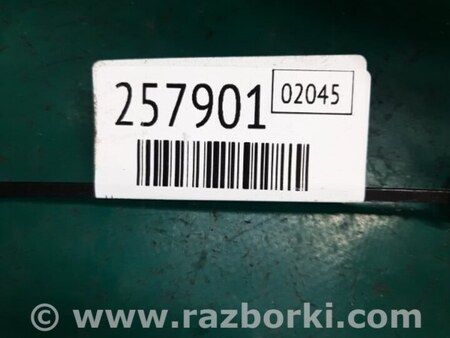 ФОТО Натяжитель ремня приводного для Acura RDX TB3, TB4 (03.2012-12.2015) Киев