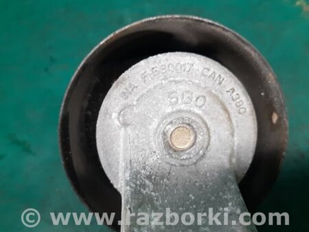 ФОТО Натяжитель ремня приводного для Acura RDX TB3, TB4 (03.2012-12.2015) Киев