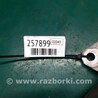 ФОТО Кронштейн крепления двигателя для Acura RDX TB3, TB4 (03.2012-12.2015) Киев