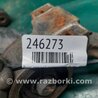 ФОТО Рычаг передний нижний для Acura RDX TB3, TB4 (03.2012-12.2015) Киев