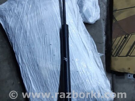 ФОТО Амортизатор двери багажника для Acura RDX TB4 USA (04.2015-...) Киев