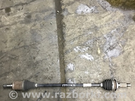 ФОТО Привод для Acura RDX TB4 USA (04.2015-...) Киев