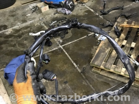 ФОТО Электропроводка для Audi (Ауди) A3 8V1, 8VA, 8V7, 8VS (03.2012-...) Киев