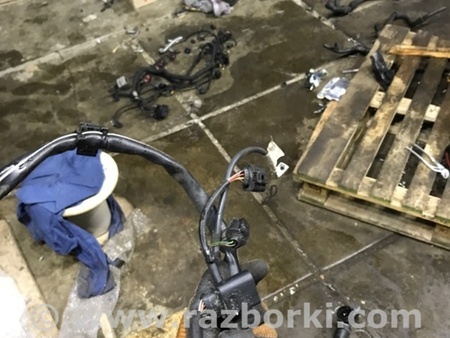 ФОТО Электропроводка для Audi (Ауди) A3 8V1, 8VA, 8V7, 8VS (03.2012-...) Киев