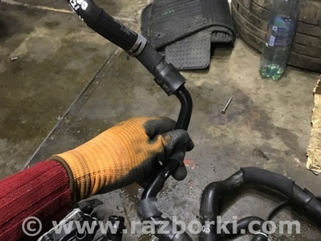 ФОТО Патрубок системы охлаждения для Audi (Ауди) A3 8V1, 8VA, 8V7, 8VS (03.2012-...) Киев