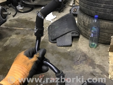 ФОТО Патрубок системы охлаждения для Audi (Ауди) A3 8V1, 8VA, 8V7, 8VS (03.2012-...) Киев