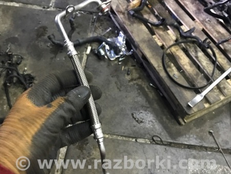 ФОТО Патрубок системы охлаждения для Audi (Ауди) A3 8V1, 8VA, 8V7, 8VS (03.2012-...) Киев