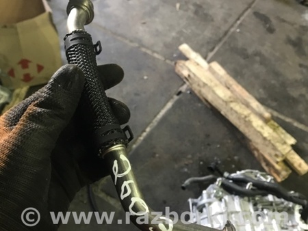 ФОТО Патрубок системы охлаждения для Audi (Ауди) A3 8V1, 8VA, 8V7, 8VS (03.2012-...) Киев