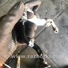 Патрубок системы охлаждения Audi (Ауди) A3 8V1, 8VA, 8V7, 8VS (03.2012-...)
