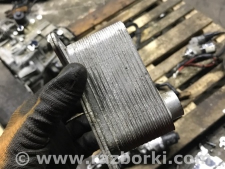 ФОТО Радиатор масляный для Audi (Ауди) A3 8V1, 8VA, 8V7, 8VS (03.2012-...) Киев