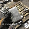 ФОТО Радиатор масляный для Audi (Ауди) A3 8V1, 8VA, 8V7, 8VS (03.2012-...) Киев