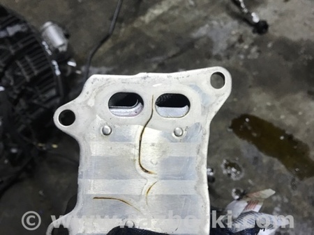 ФОТО Радиатор масляный для Audi (Ауди) A4 B8 - 8K2, 8K5 (08.2007-11.2015) Киев